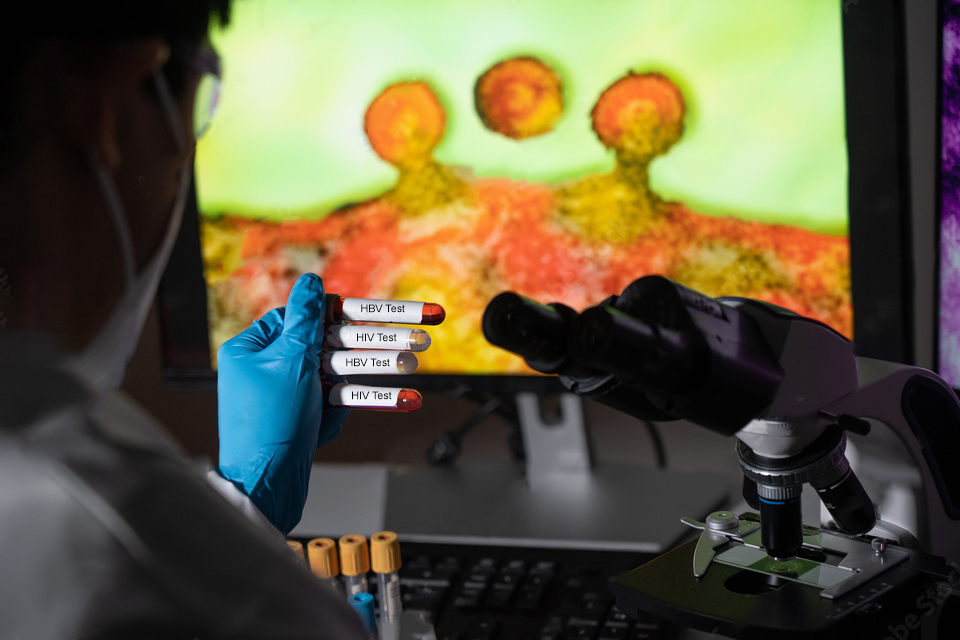 Tốc độ lây lan của virus viêm gan B